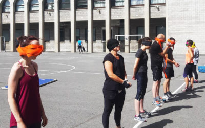 Planning des stages d’été